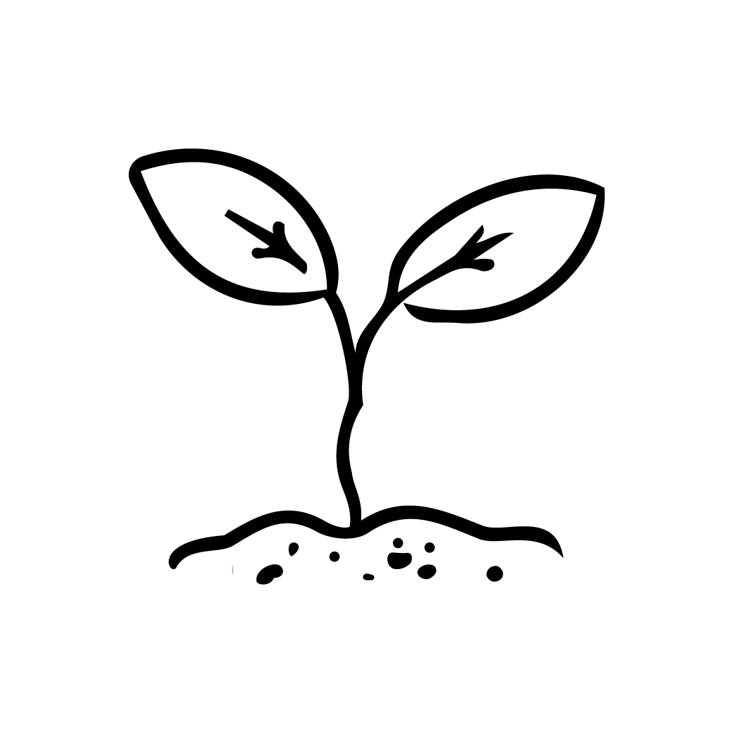 Brand asset
